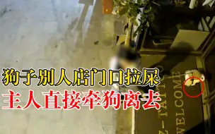 狗子别人店门口拉屎主人直接牵狗离去，店主：她不捡还走那么自然