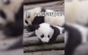 熊猫也有小“V”脸