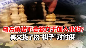 乌方声称不会再致力于加入北约，美却找了1枚新“棋子”来对付俄