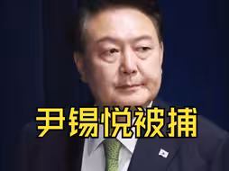 尹锡悦被捕