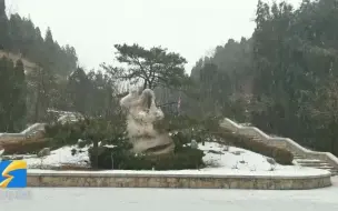 济南下雪啦！大雪纷飞的那种 跑马岭、九如山已银装素裹