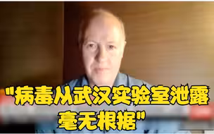 走出武汉实验室 世卫专家的话让西方一些人失望了