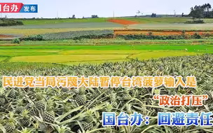 民进党当局污蔑大陆暂停台湾菠萝输入是“政治打压” 国台办回应