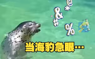 游客动物园投喂小海豹 没吃到鱼的海豹急眼了