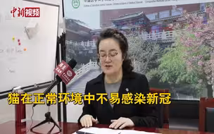 专家：猫在正常环境中不易感染新冠