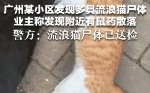 广州某小区发现多具流浪猫尸体，业主称发现附近有鼠药散落，警方：流浪猫尸体已送检