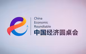 中国经济圆桌会｜年中经济面面观