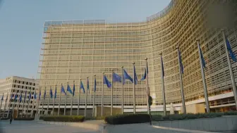 与美国“割席” 欧盟另起炉灶组建新“护航联盟”