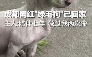 东北车停在楼下几天没开，再看车已冻成“冰雕”