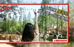 【上海有几座摩天轮？②】 在她脚下，是一片美丽的大草原