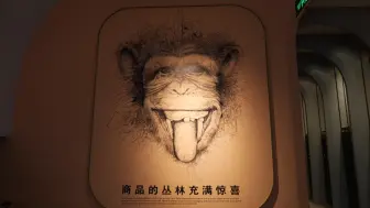 亚蓉欧国家馆集群探馆之旅——意大利馆