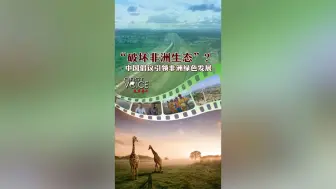先声夺人｜“破坏非洲生态”？—— 中国倡议引领非洲绿色发展