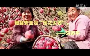 深情寄“三农”