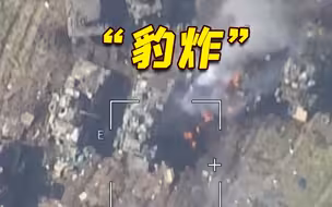 俄军击毁乌方“豹”2坦克和“布雷德利”战车 士兵上前合影
