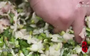 槐花和山韭菜吃起来配一脸