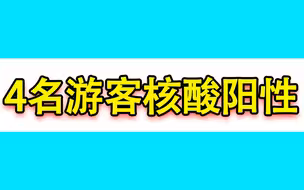 西藏发现4名游客核酸阳性，划定中风险区7个！