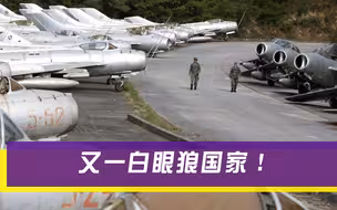 野心比越南大多了，白白拿走167架战机，最终将其抛售加入西方阵营