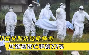 印度又迎来致命病毒，猪和果蝠是中间宿主，比新冠死亡率高73%