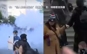 哈里斯抨击美国警察无视“特粉”冲击国会：我目睹了两种司法制度
