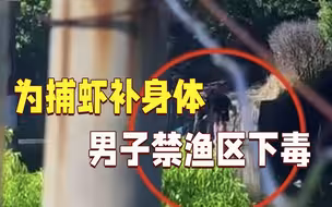 致命操作！男子禁渔区下毒 只为捕虾补身体...