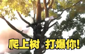 爬上树 打爆你！