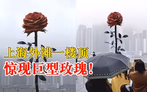 情人节前夕外滩现巨型玫瑰，众多市民纷纷冒雨打卡