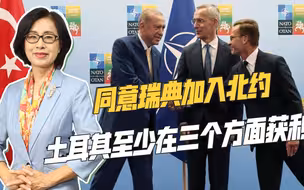 “拿捏北约和俄罗斯”，土耳其同意瑞典入约，再次赚了个盆满钵满
