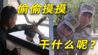 好孩子不要学哦~