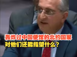 叙利亚代表声援伊朗：对轰炸过中国使馆的北约国家还能指望什么？