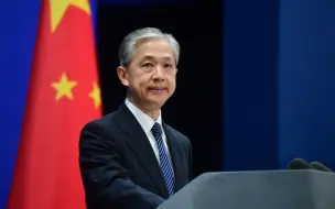 汪文斌：决不让腐败分子躲进“避罪天堂”。