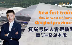 提速！复兴号驶入青藏铁路西宁至格尔木段