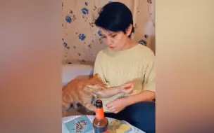 可爱！俄罗斯女子刚准备拿起酒瓶喝酒时 遭管事儿小橘猫出手阻止