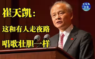 崔天凯：这和有人走夜路唱歌壮胆一样