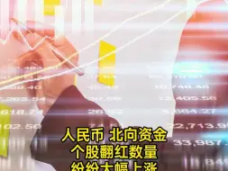 人民币 北向资金 个股翻红数量 纷纷大幅上涨