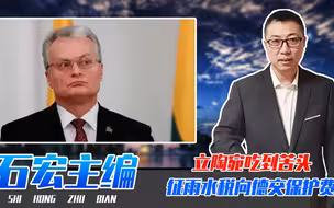 援助乌克兰，制裁俄罗斯，立陶宛吃到苦头，征雨水税向德交保护费