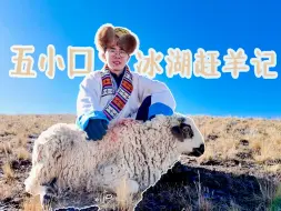 在海拔5010米的冰面上赶羊是种什么体验？