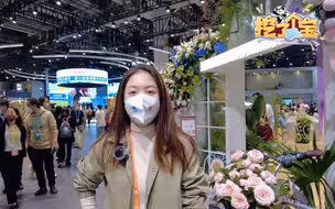 在进博会挖宝：“朋克养生”的朋友们，这些好物来了