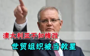 澳大利亚喊话世贸组织，要求调查中国，莫里森仍然执迷不悟