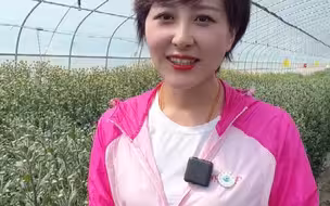 兰州新区这十年·产业发展 | 从撂荒滩地到如今的鲜花遍地，兰州新区秦川现代农业产业示范园的华丽蝶变无不让生活在这里的老百姓为之点赞