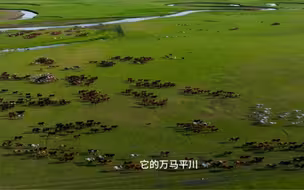 听一曲悠扬的马头琴，淋一场草原夏日的雨，听一段民间的故事……《美丽的草原我们的家》(第一季)首播地——呼伦贝尔，此心安处是草原！#全国广电新媒体集结发光#