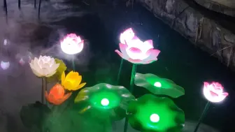 发现身边的美好，打卡亦庄免费灯会