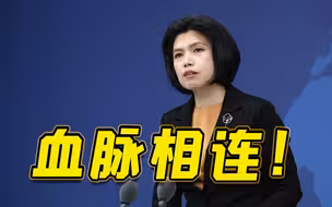 《狂飙》《流浪地球2》等剧在两岸同掀热潮 国台办：两岸血脉相连