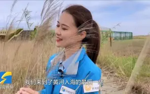 沿着高速看山东｜舍石油保生态 珍稀鸟类安家黄河三角洲