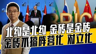 土耳其想加入金砖是警告北约？土媒、专家有误解，金砖不搞选边站