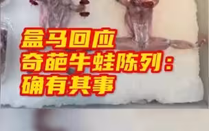 盒马回应奇葩牛蛙陈列：确有其事
