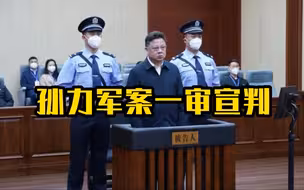 孙力军受贿、操纵证券市场、非法持有枪支案一审宣判