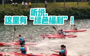 “绿色福利”？真的幸福感爆棚！