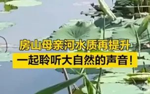 房山母亲河水质再提升，一起聆听大自然的声音！
