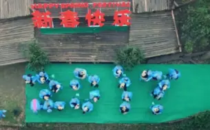 逗乐送祝福！ 熊猫天团组队形“2017”