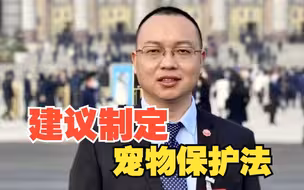 全国人大代表唐利军：建议制定宠物保护法